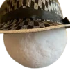 moonwithhat