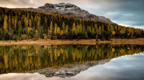 Golden Autumn Reflection – Tranquil Mountain Lake Live Wallpaper