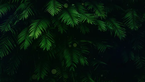 Tropical Rainforest Leaves Live Wallpaper – Soothing Nature Animation
