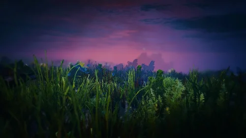 Grand Theft Auto V Underwater Lively Wallpaper - Dive into the Depths of Los Santos