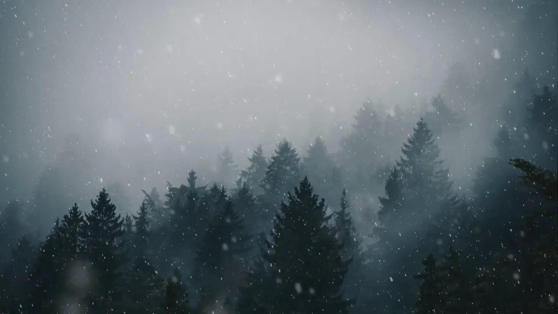 Winter Silence live wallpaper for desktop