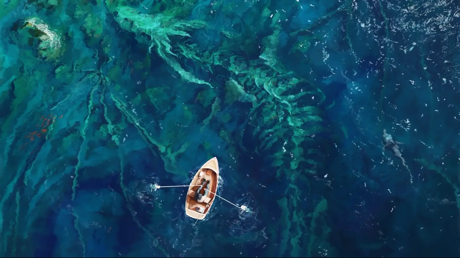 Beneath the Blue Abyss live wallpaper for desktop