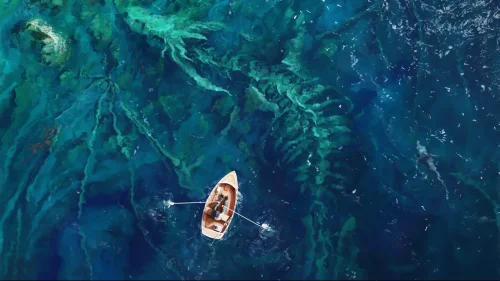 Beneath the Blue Abyss