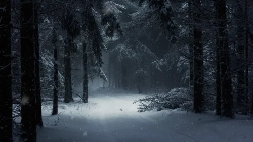 Silent Snowfall Download Live Wallpaper