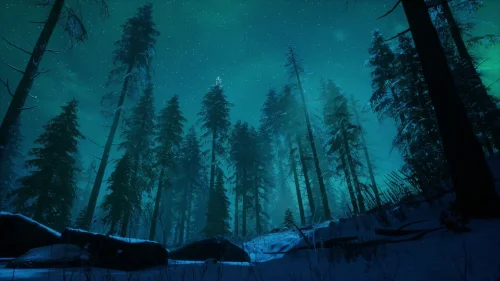 Aurora Forest Night