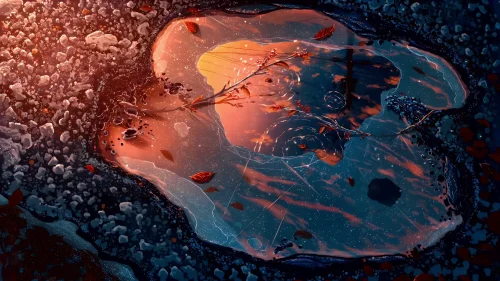 Reflections of Autumn Light