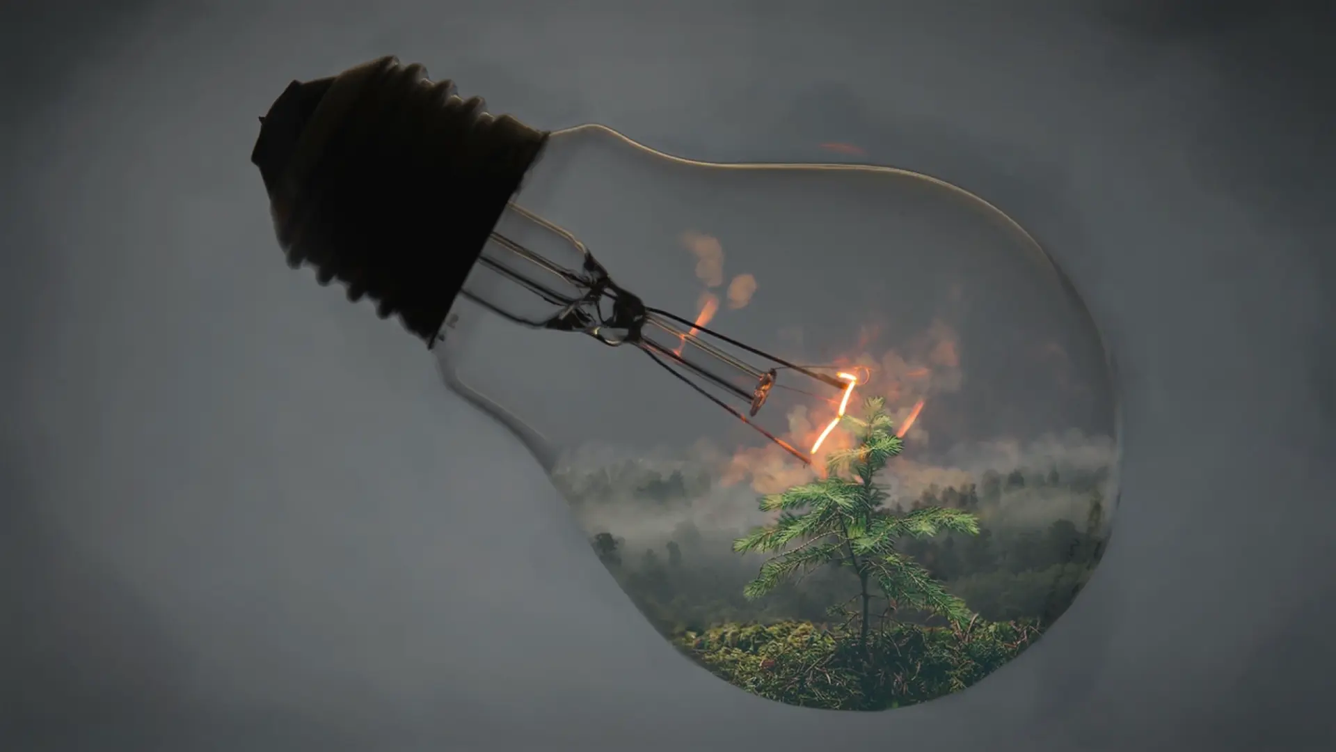 Nature Within Light live wallpaper for desktop