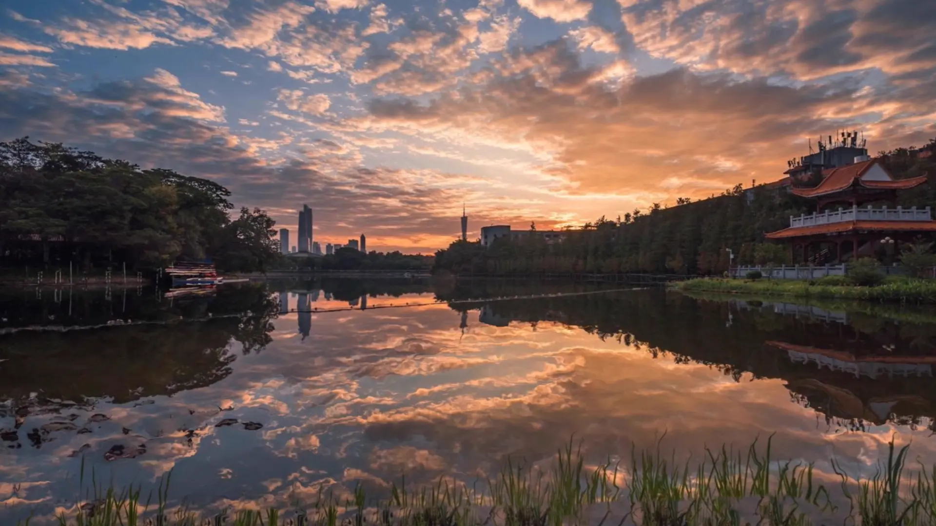 Sunset Reflections live wallpaper for desktop