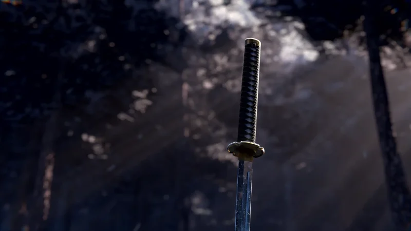 Silent Katana in the Forest