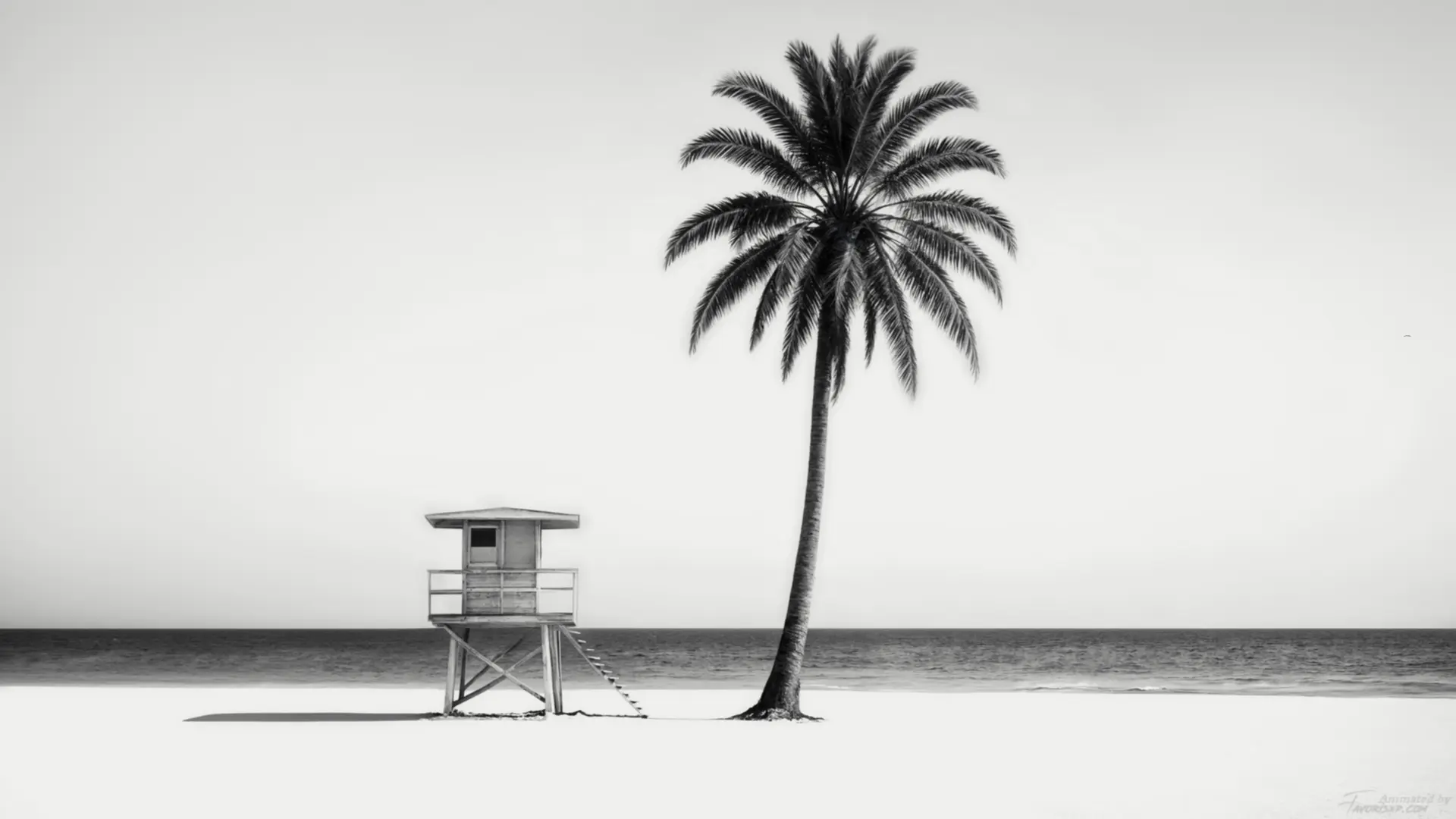 Black & White Beach live wallpaper for desktop