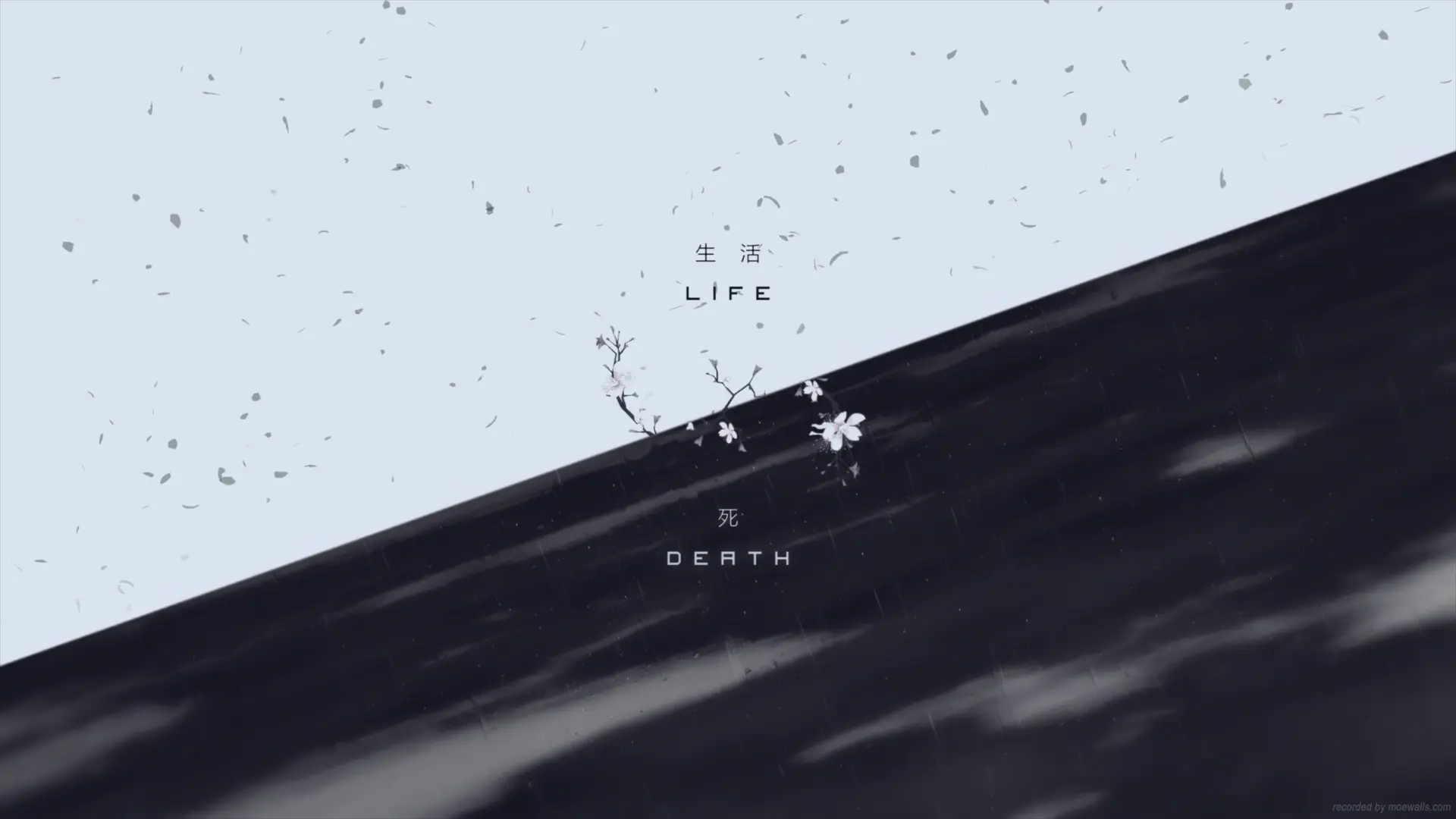 Life & Death Contrast live wallpaper for desktop