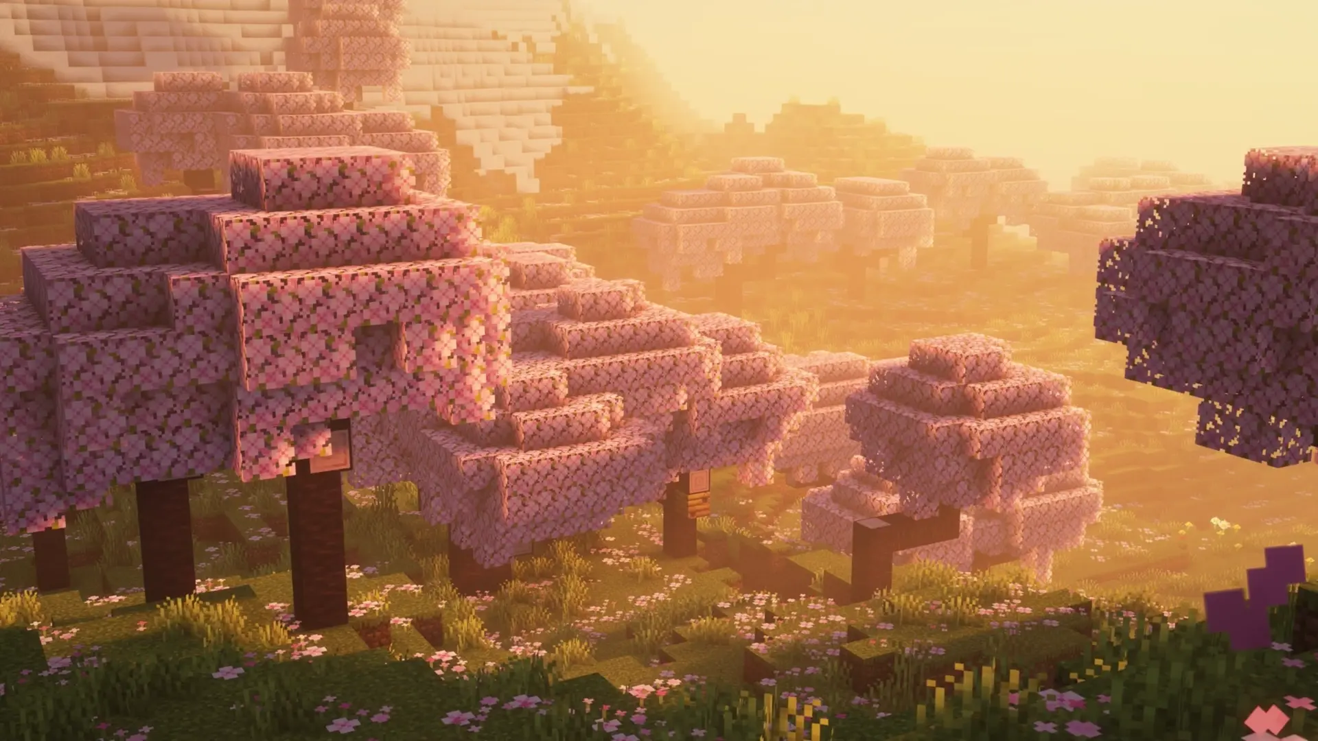 Minecraft Cherry Blossom Sunrise Valley live wallpaper for desktop