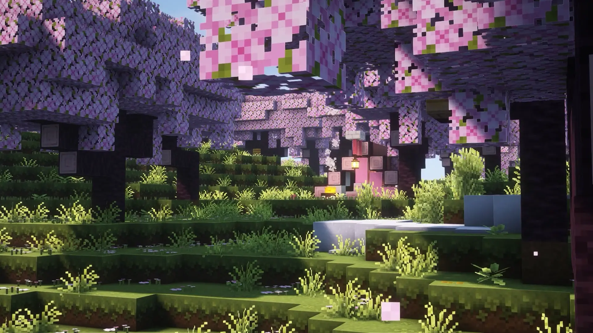 Cherry Blossom Grove live wallpaper for desktop