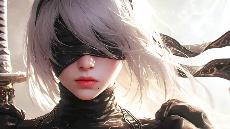 2B Blindfold