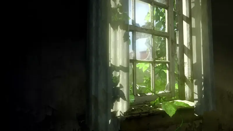 The Last of Us Abandoned Window