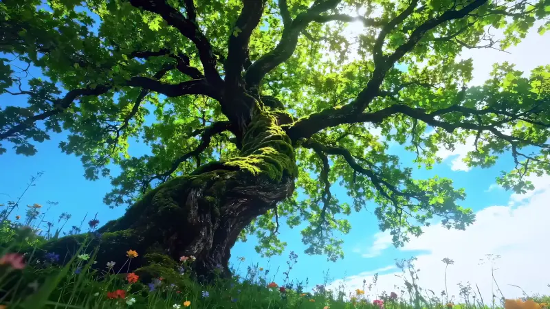 Ancient Green Tree