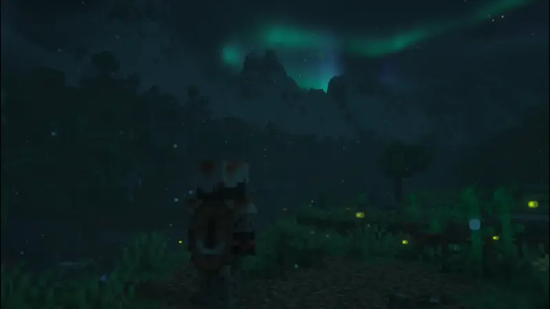 Minecraft Aurora Night